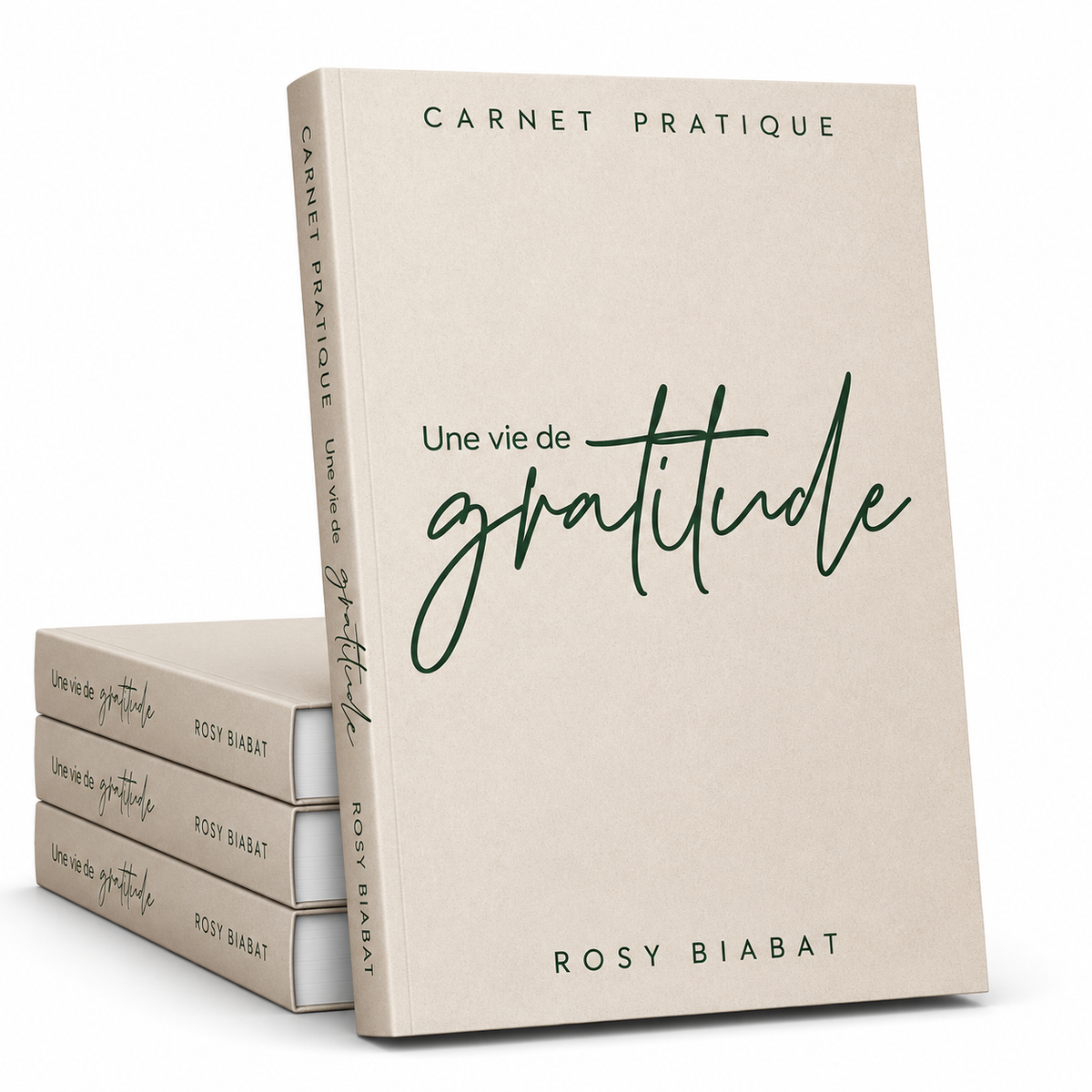 Carnet pratique : Une vie de gratitude