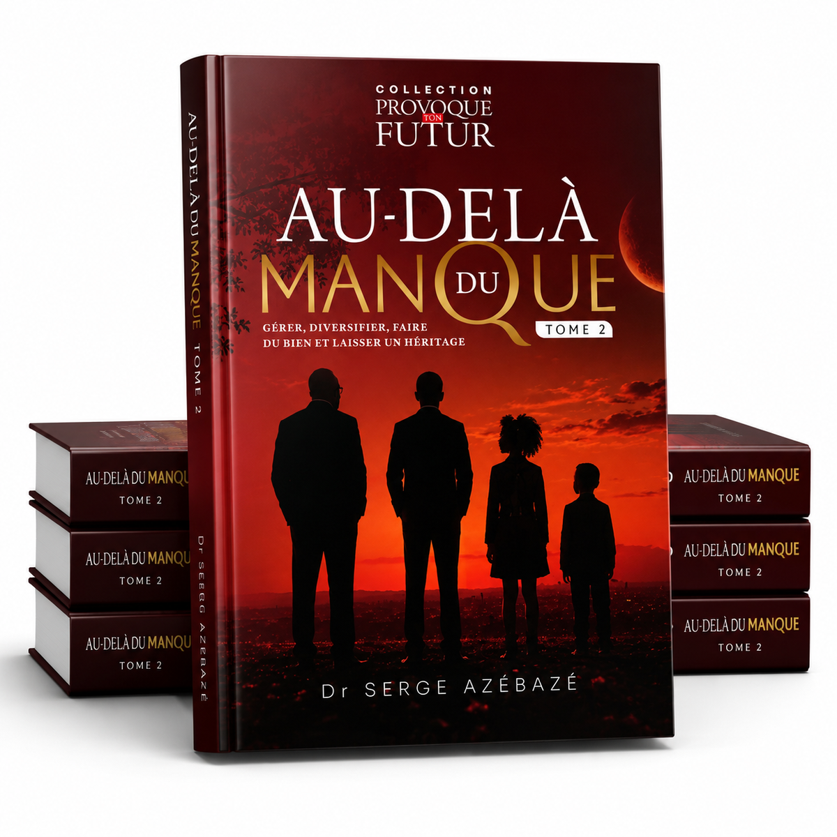 Au delà du Manque Tome 2