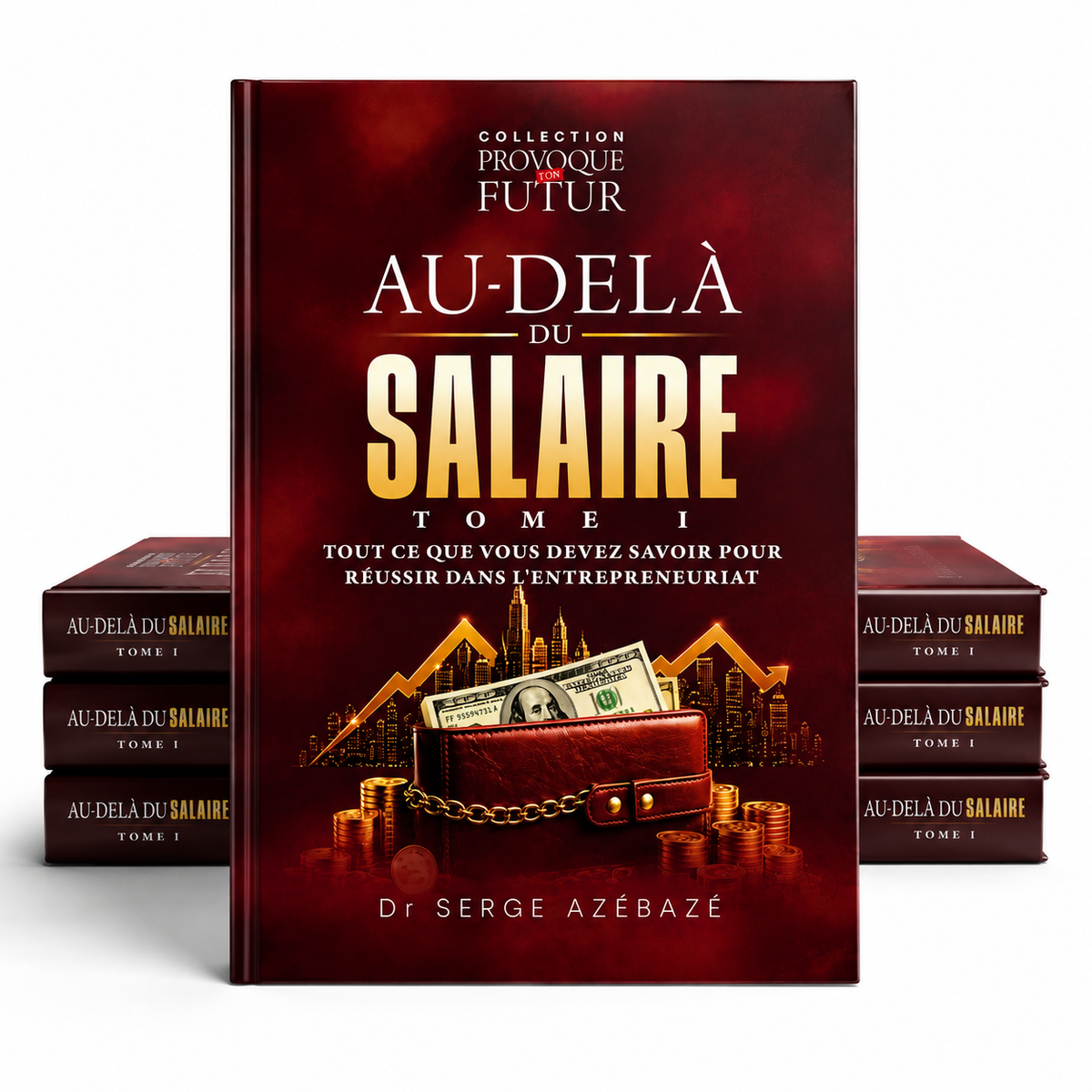 Au delà du salaire Tome 1