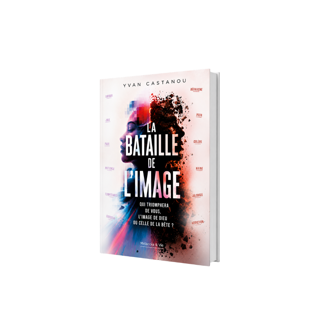 La bataille de l'image