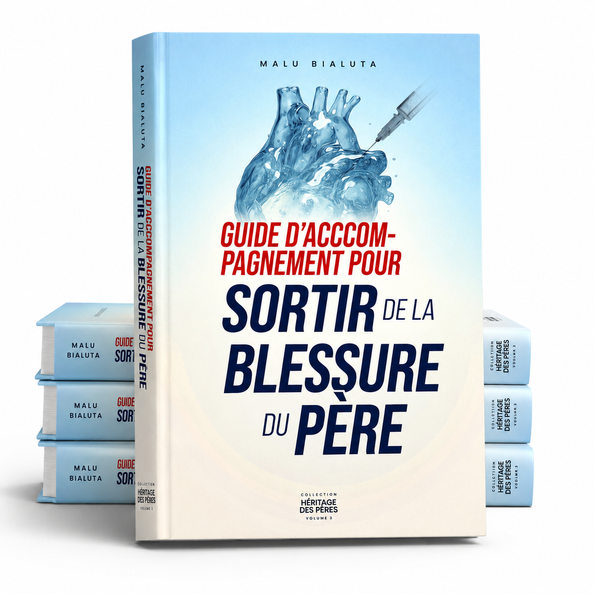 Guide d'accompagnement pour sortir de la blessure du père