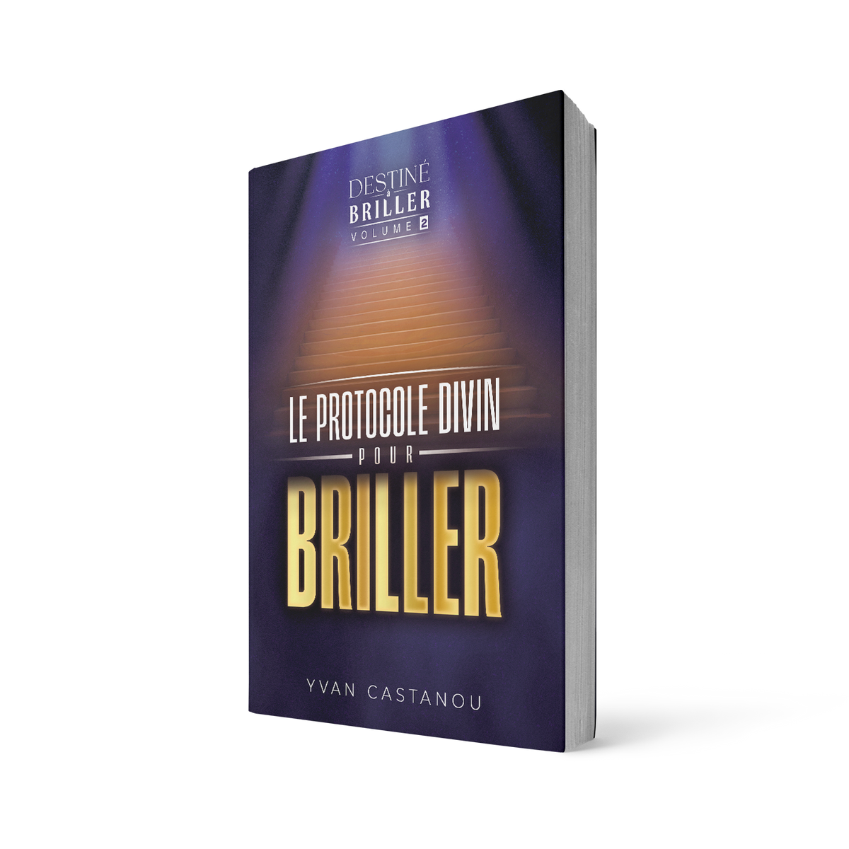 Destiné à briller volume 2 - Le protocole divin pour briller