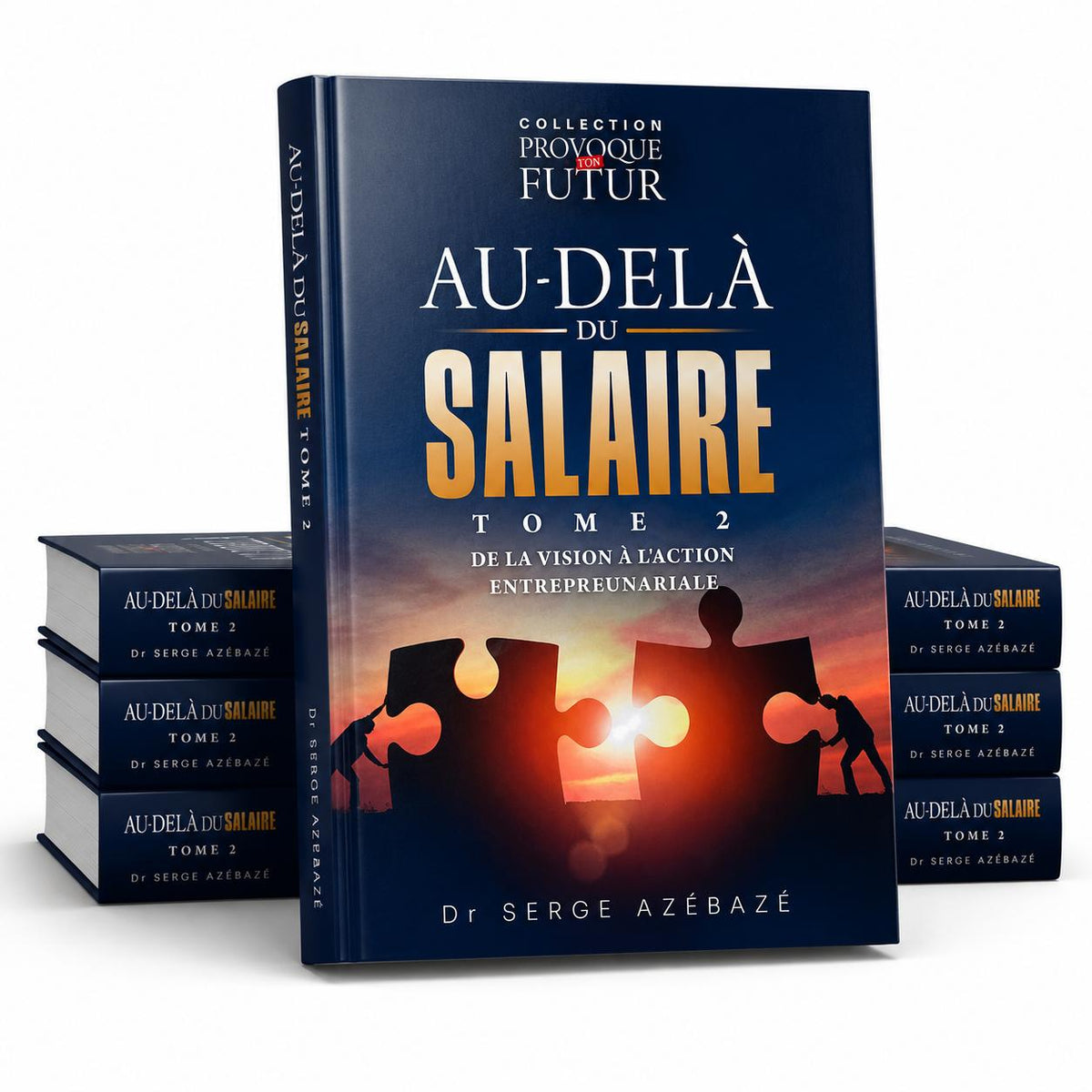 Au delà de Salaire Tome 2